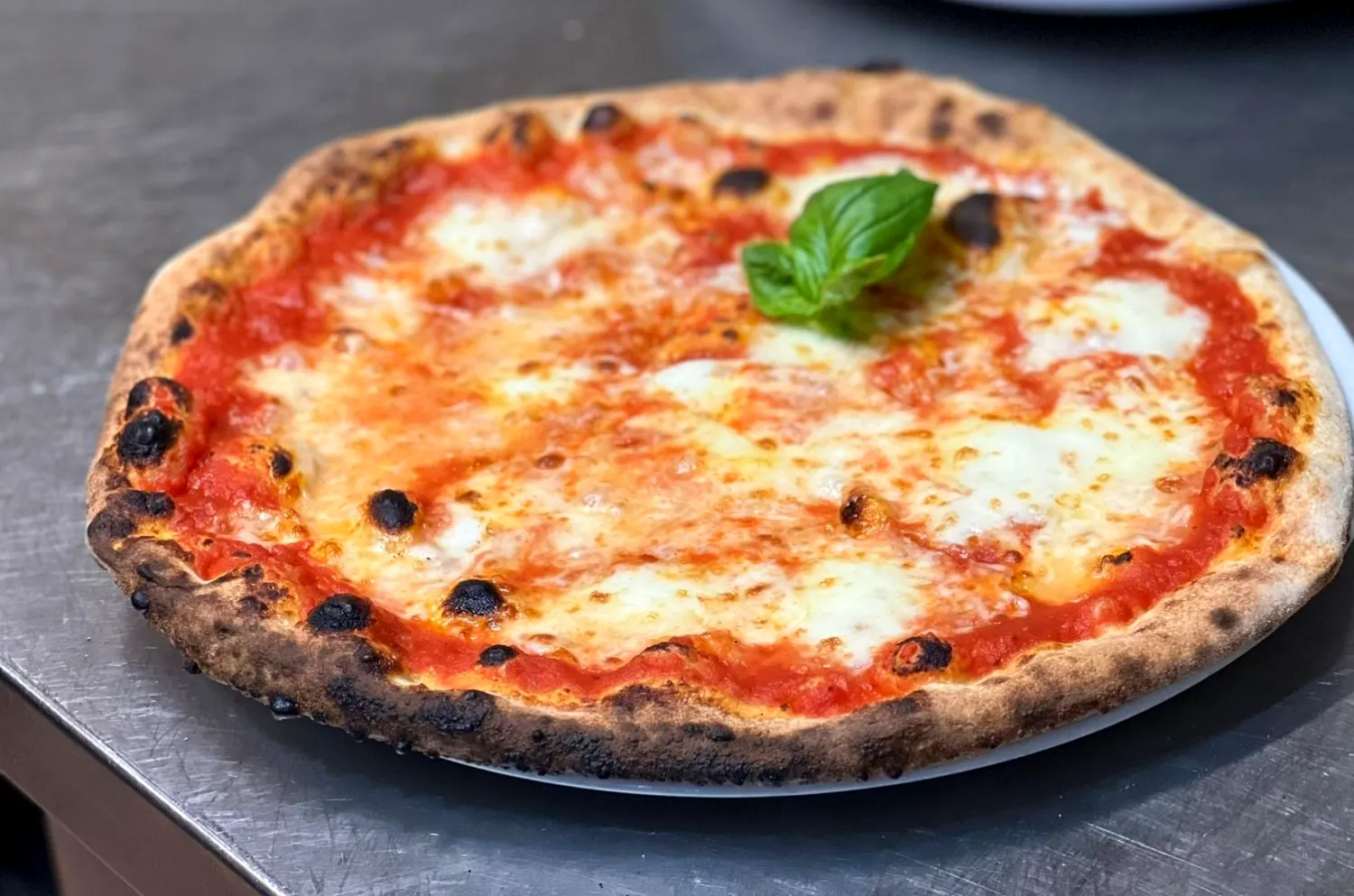 Pizza margherita appena sfornata, con il cornicione gonfio e le bolle scure della cottura nel forno a legna